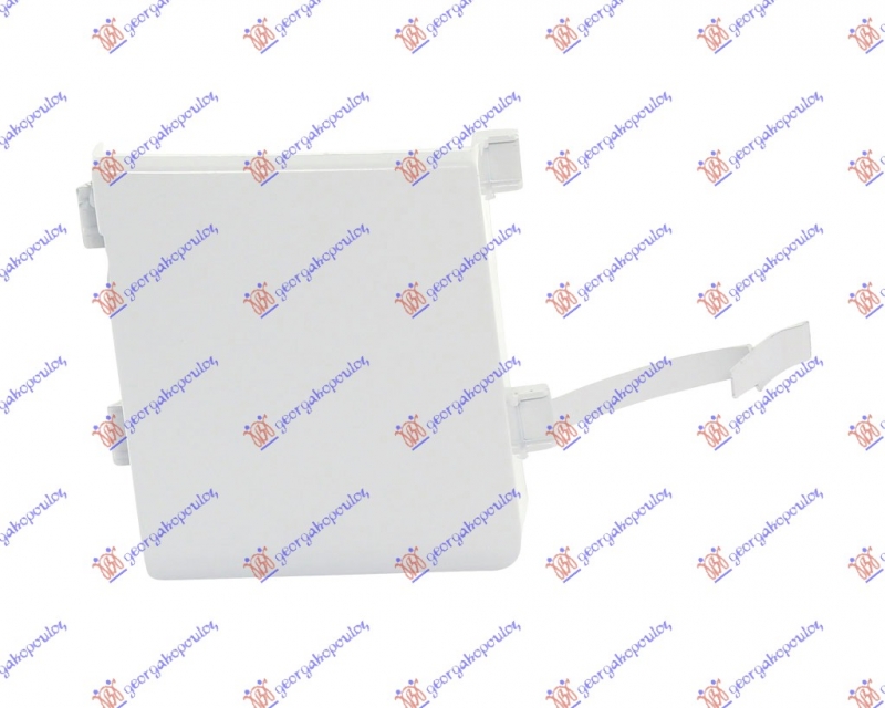 LAJSNA BRANIKA SA MAGLENKOM (O)