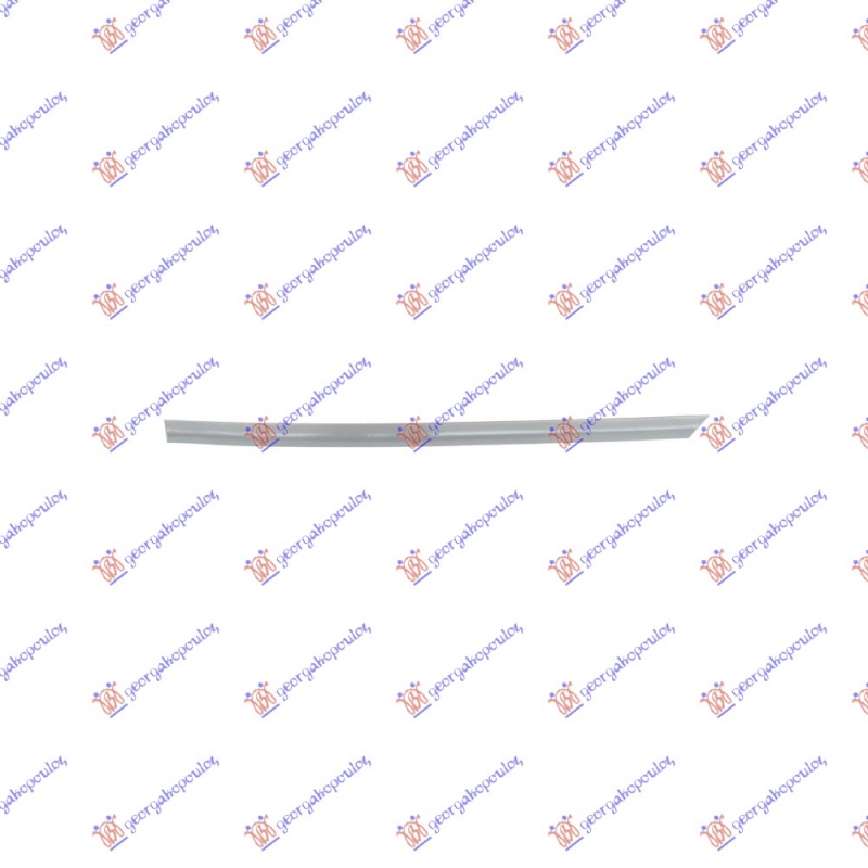 LAJSNA ZADNJIH VRATA