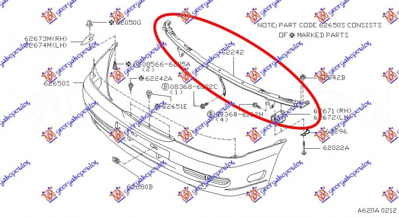 SINA PREDNJEG BRANIKA