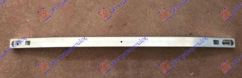 SINA PREDNJEG BRANIKA DONJA