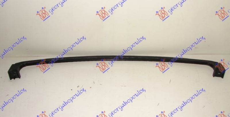 SINA PREDNJEG BRANIKA DONJA (O)