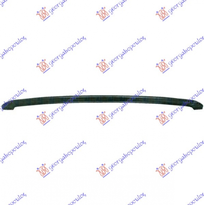 SINA PREDNJEG BRANIKA DONJI DEO