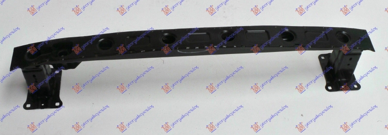 SINA ZADNJEG BRANIKA