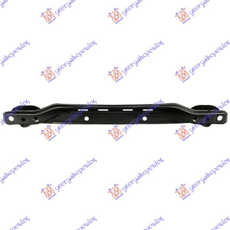 SINA ZADNJEG BRANIKA