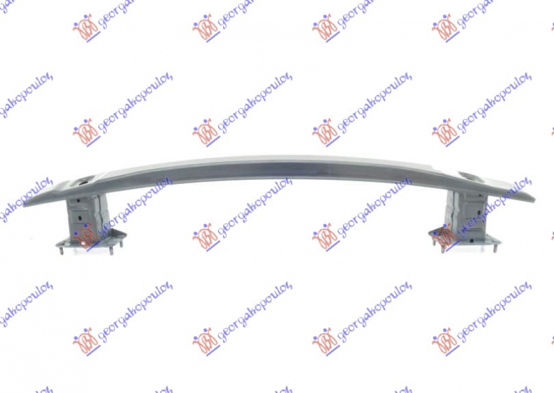 SINA ZADNJEG BRANIKA