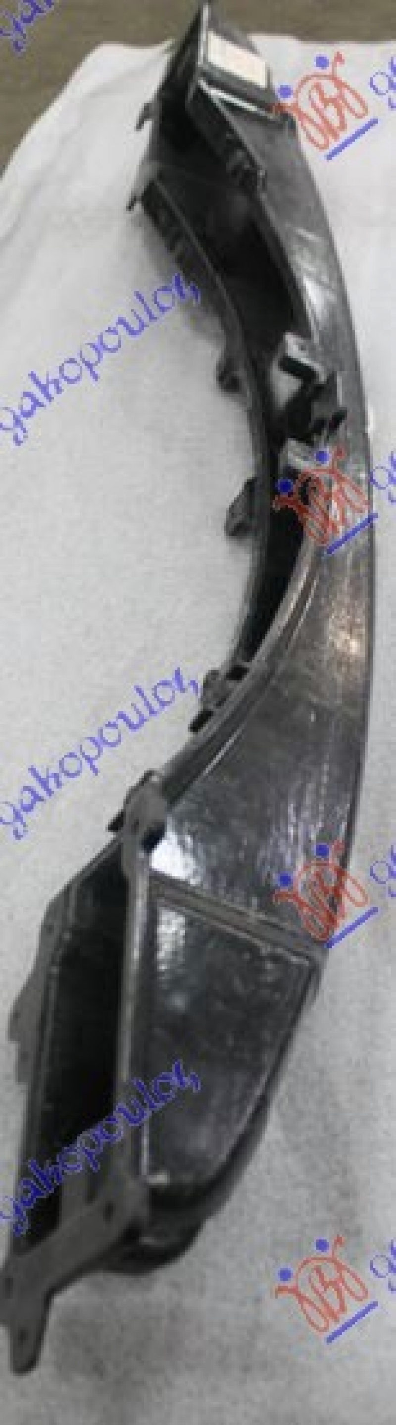 SINA ZADNJEG BRANIKA