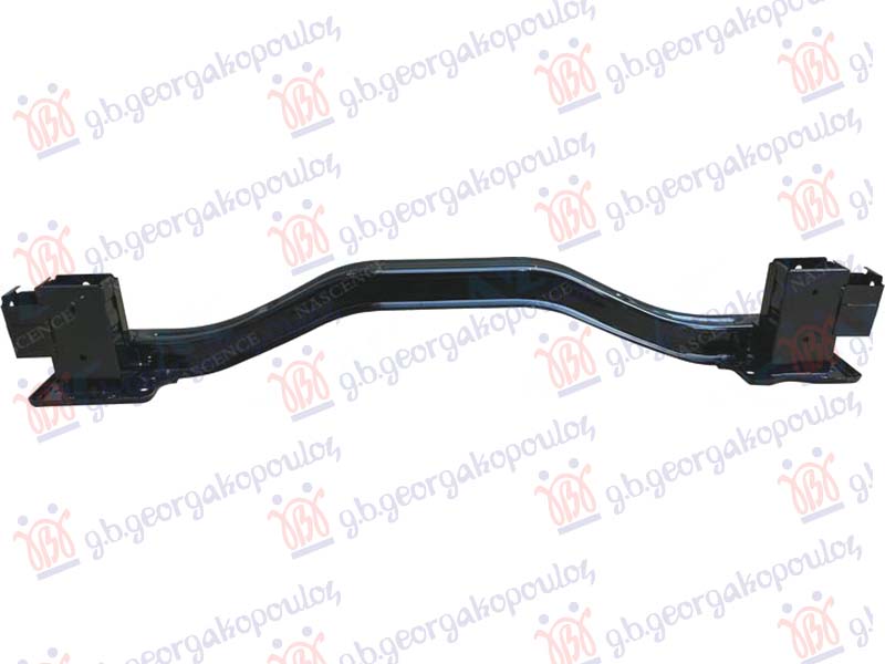 SINA ZADNJEG BRANIKA