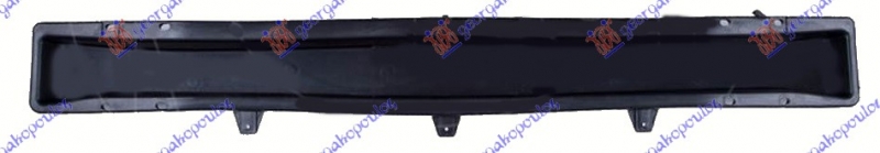 SINA ZADNJEG BRANIKA