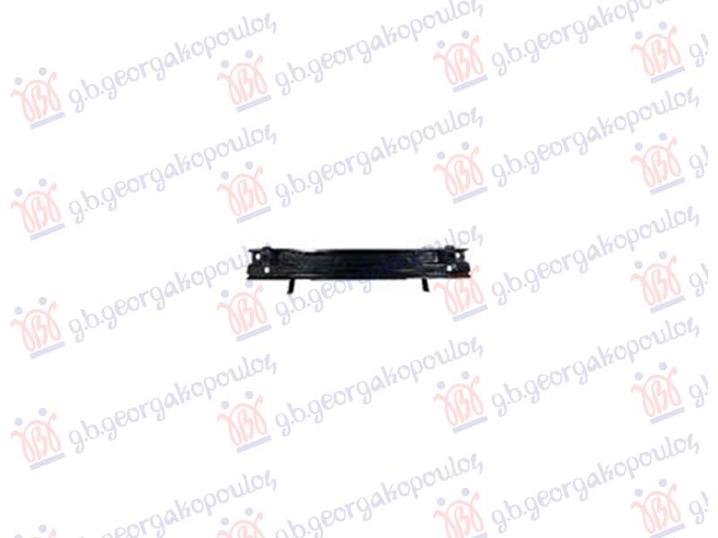 SINA ZADNJEG BRANIKA