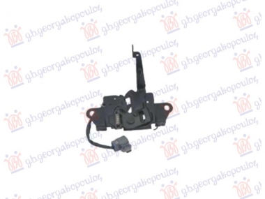 BRAVA HAUBE (2 PIN)