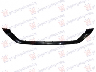 LAJSNA PREDNJEG BRANIKA DONJA