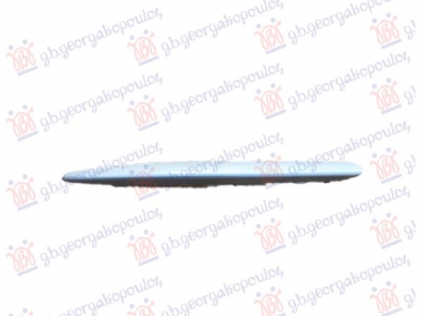 LAJSNA RESETKE PREDNJEG BRANIKA DONJA SREBRNA -2013