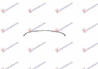 LAJSNA ZADNJEG BRANIKA DONJA CRNA (NIGHT) (E53/E63S AMG)