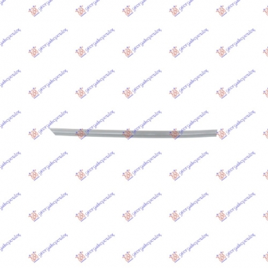 LAJSNA ZADNJIH VRATA