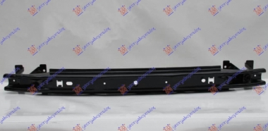 SINA ZADNJEG BRANIKA