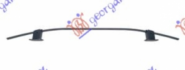 SINA ZADNJEG BRANIKA