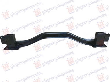 SINA ZADNJEG BRANIKA