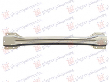 SINA ZADNJEG BRANIKA