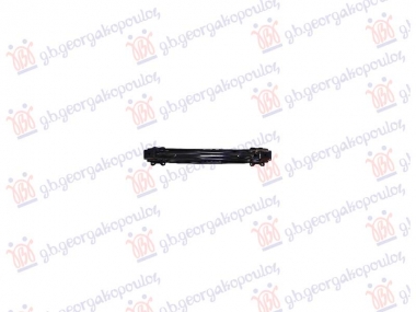 SINA ZADNJEG BRANIKA