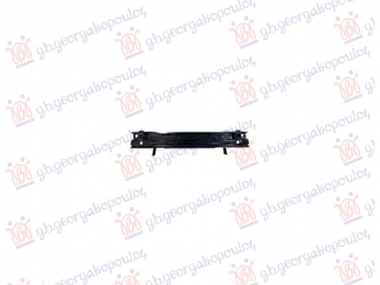 SINA ZADNJEG BRANIKA